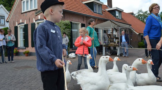 Ganzenmarkt (zondag  2 juli 2017)